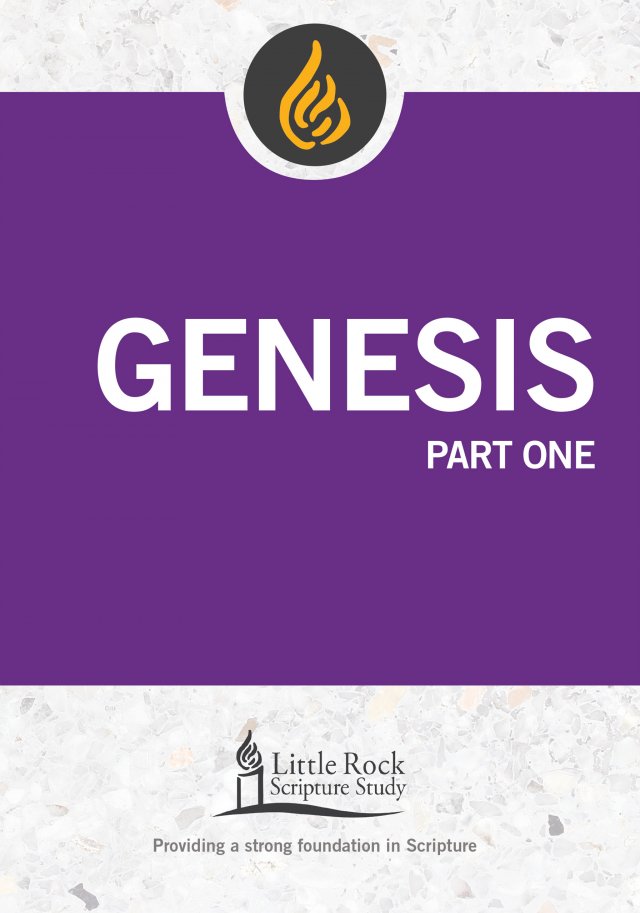Genesis Part 1: Little Rock Scripture Study Reimagined