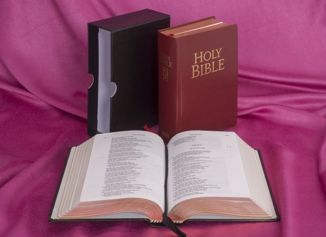 New Jerusalem Bible Pocket Edition Red Leather Bible 