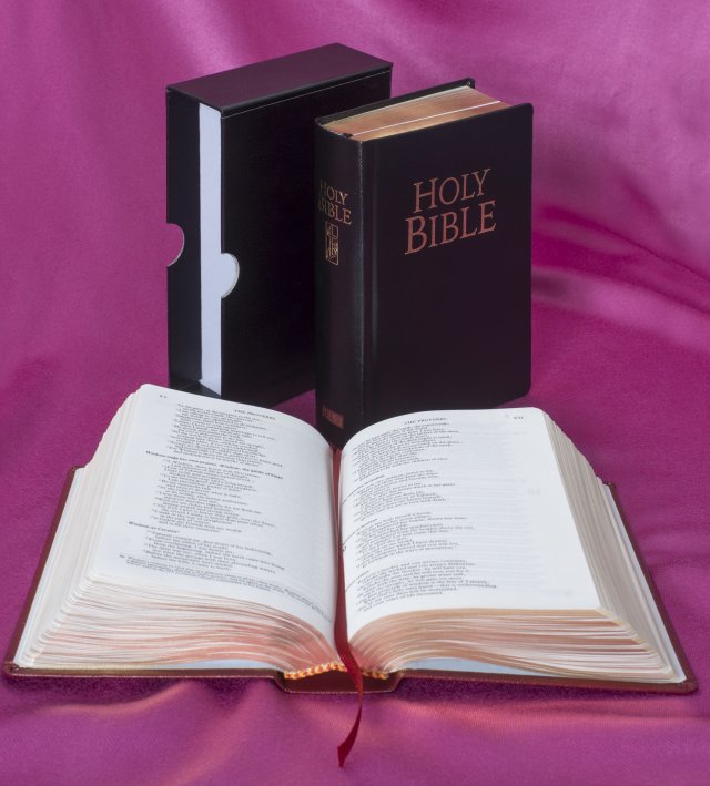 New Jerusalem Bible Pocket Edition Black Leather Bible 