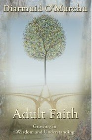 Adult Faith : Growing in Wisdom and Understanding