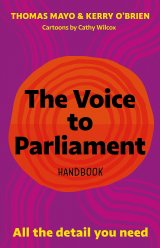 Voice to Parliament Handbook: All the Detail You Need