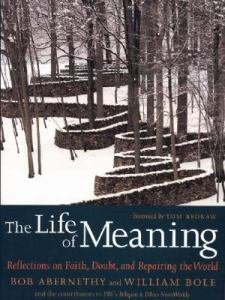 Life of Meaning : Reflections on Faith, Doubt, and Repairing the World