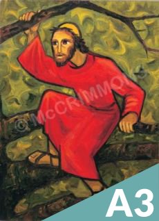 Jesus Our Hope Set of 12 A3 Posters laminated