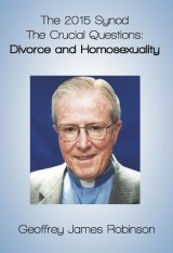 2015 Synod The Crucial Questions: Divorce and Homosexuality paperback