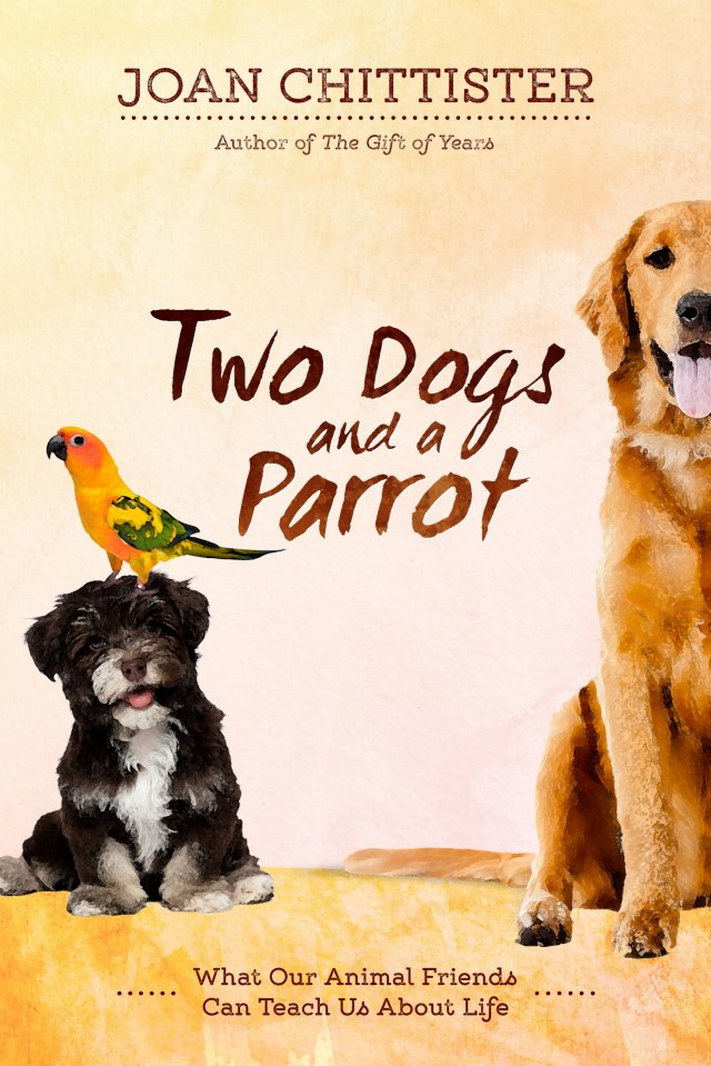 Two Dogs and a Parrot: What Our Animal Friends Can Teach Us About Life