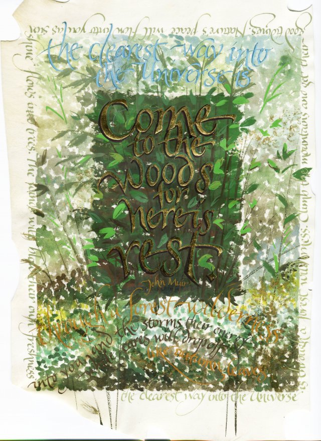Come to the Woods- Pilgrimage Reflections Series A4 Print