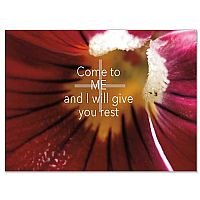 Come to Me Eternal Words Sympathy Card Pack of 10